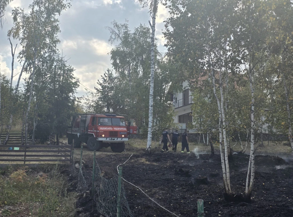414683_мионица-позар-дивцибаре_ф.wебп