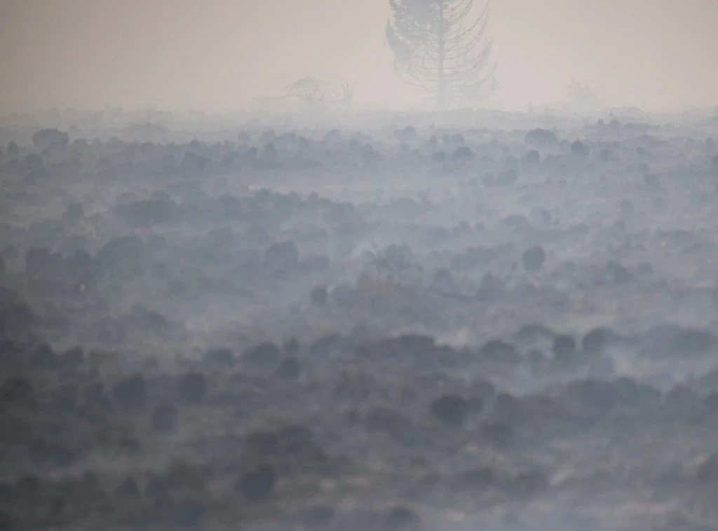 415230_aptopix-belgium-wildfires_f.webp
