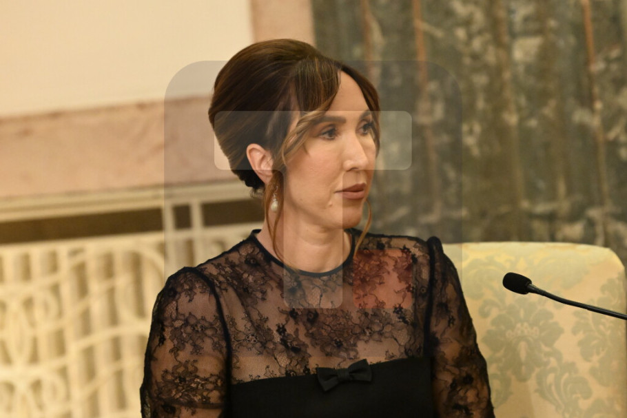 416568_vucic-jelenajankovic-sastanak_iff.jpg